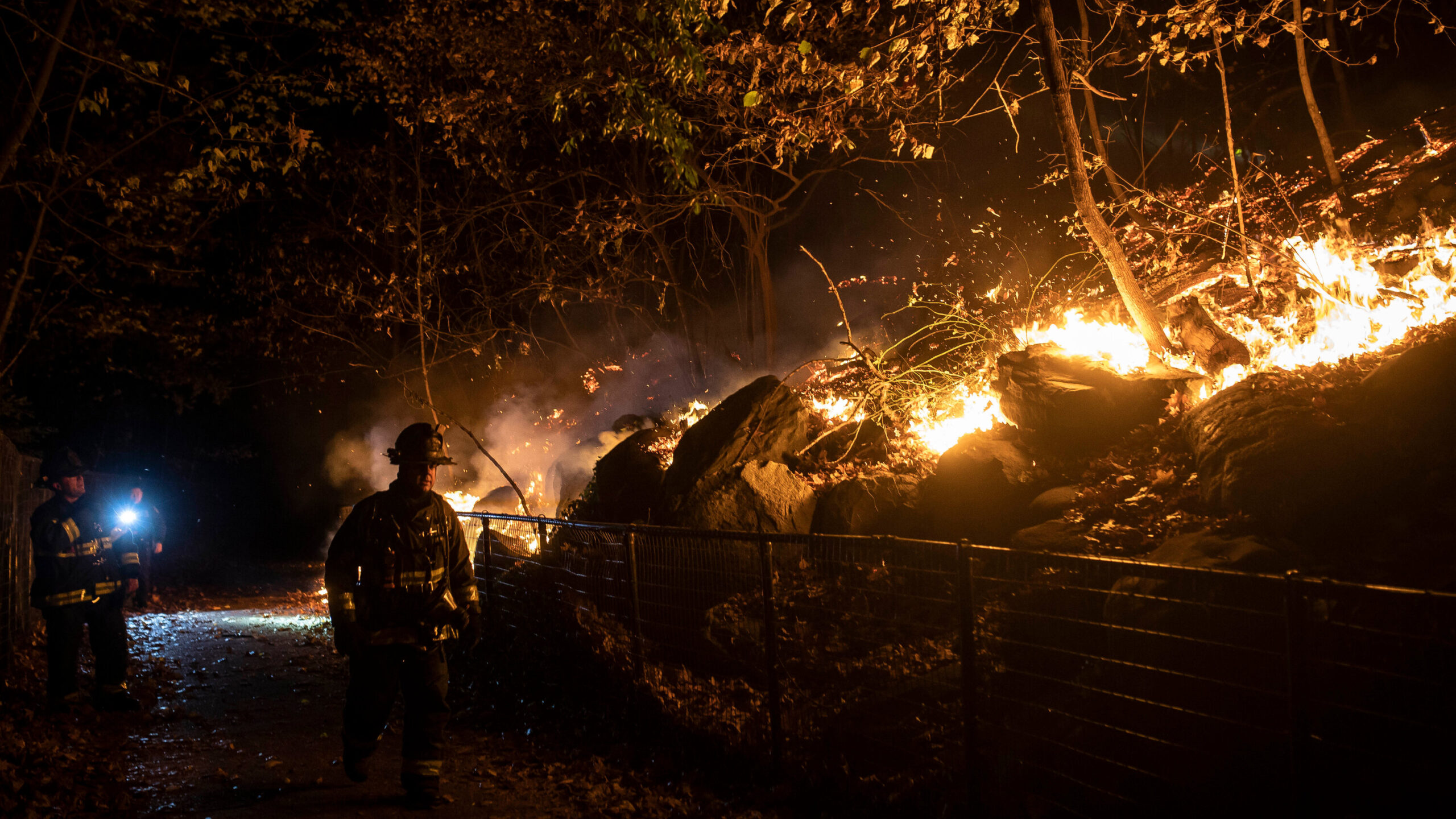 Prospect Park Fire